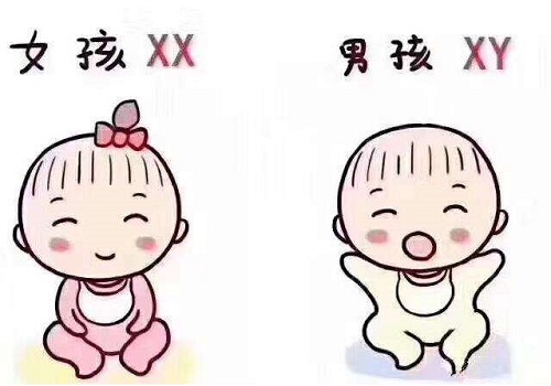 试管婴儿生多少钱